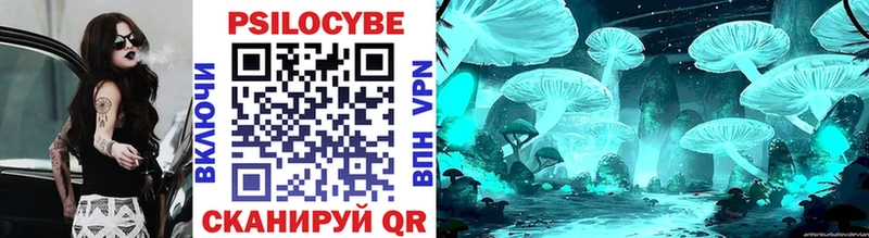 где можно купить наркотик Искитим Псилоцибиновые грибы мухоморы