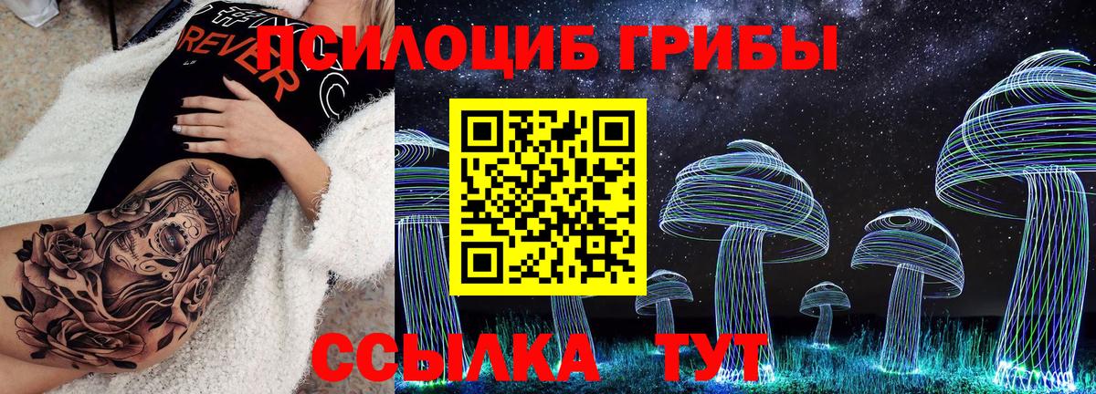 Псилоцибиновые грибы мицелий Искитим