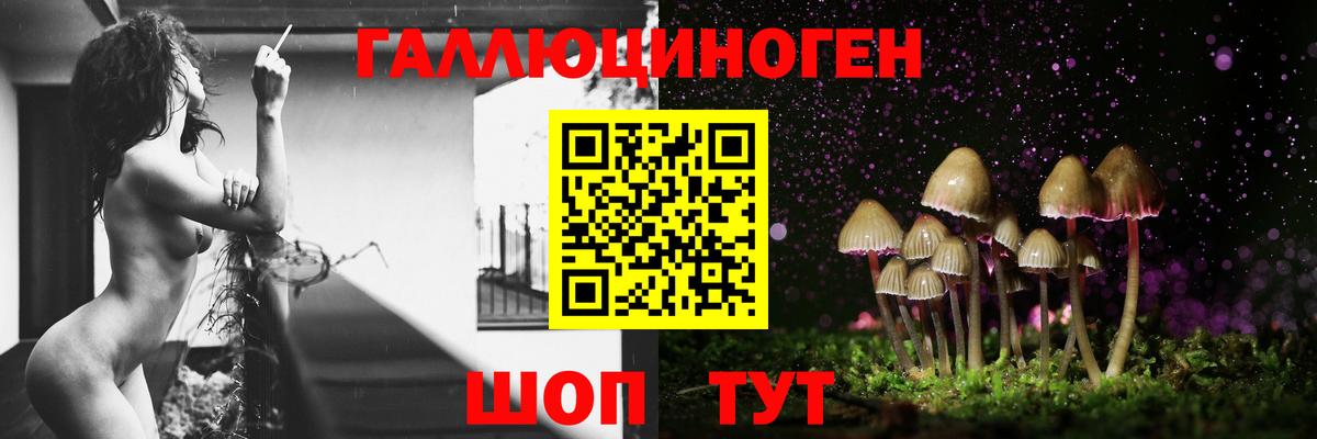 Галлюциногенные грибы прущие грибы  Вход с VPN  купить наркотики цена  Искитим 