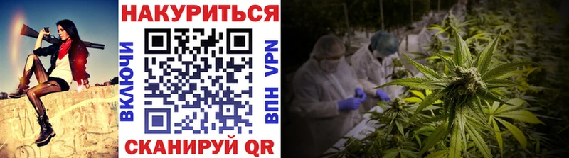 продажа наркотиков Искитим Шишки марихуана планчик